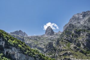 ポン子の前世（中の人)やTwitterは？蟹座や放送事故やあいりんについても調査