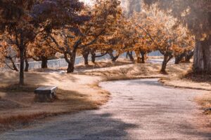 朝日南アカネの前世(中の人)は歌い手のうた⁉顔や年齢wiki風プロフ紹介！炎上や失明とは？