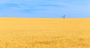 いい大人達メンバーの顔バレは？マオーの結婚や旦那は？タイチョーについても