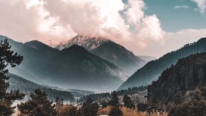 クーニンズのメンバーは？緑川のインスタやユニフォームについても調査