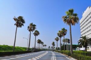 ディズニーチケット予約のコツは？予約の方法(サイト・アプリ)や開始時間はいつから？取れないとの声も