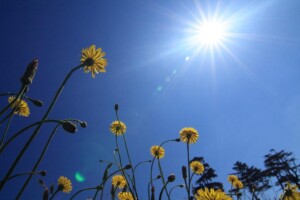 不正を厳しく追求するの四字熟語は？具体例は？