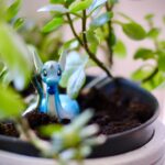 かけだし リサーチャー 特典 受け取り 方